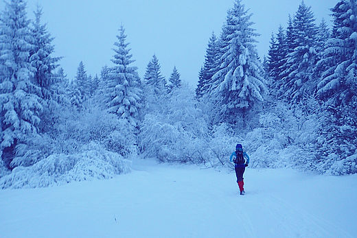 Raus mit euch! Trailrunning bei Dunkelheit und Kälte